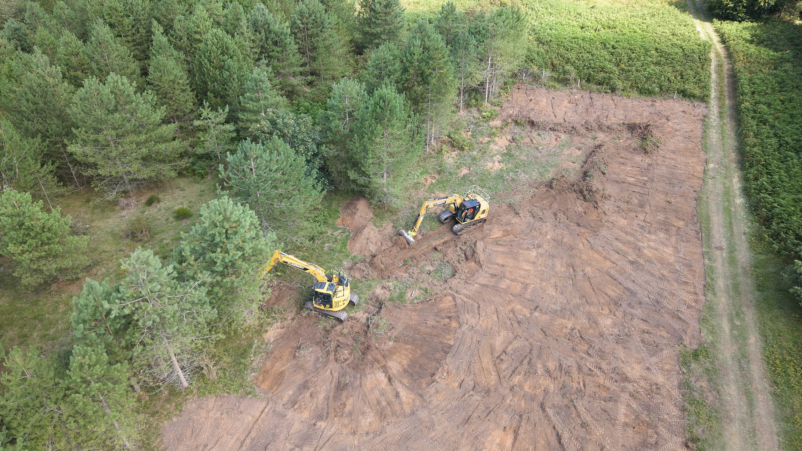 Aerial of two excavators clearing ground at the edge of a pine plantation