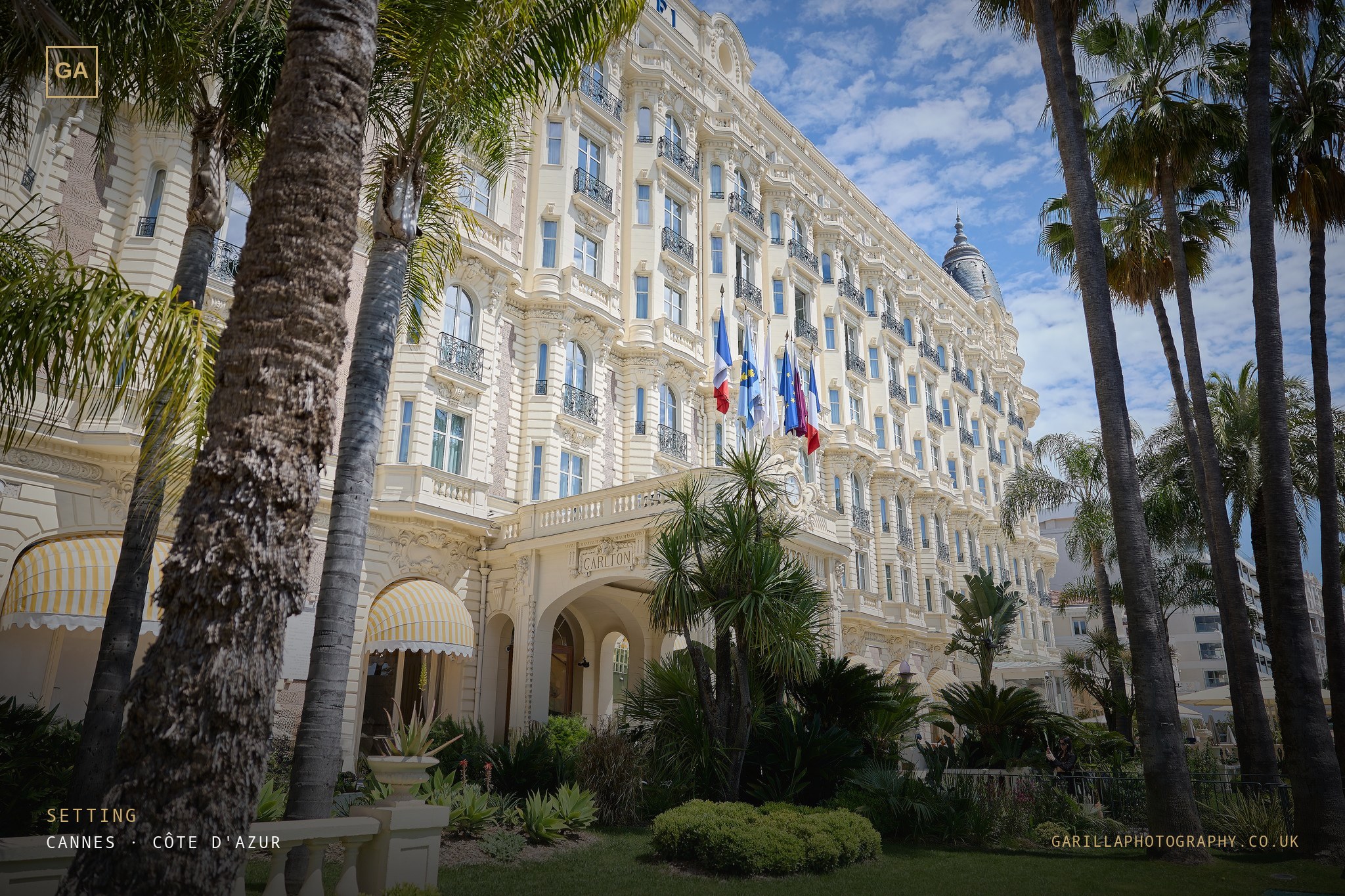 The Carlton InterContinental facade framed by palms — titled Setting