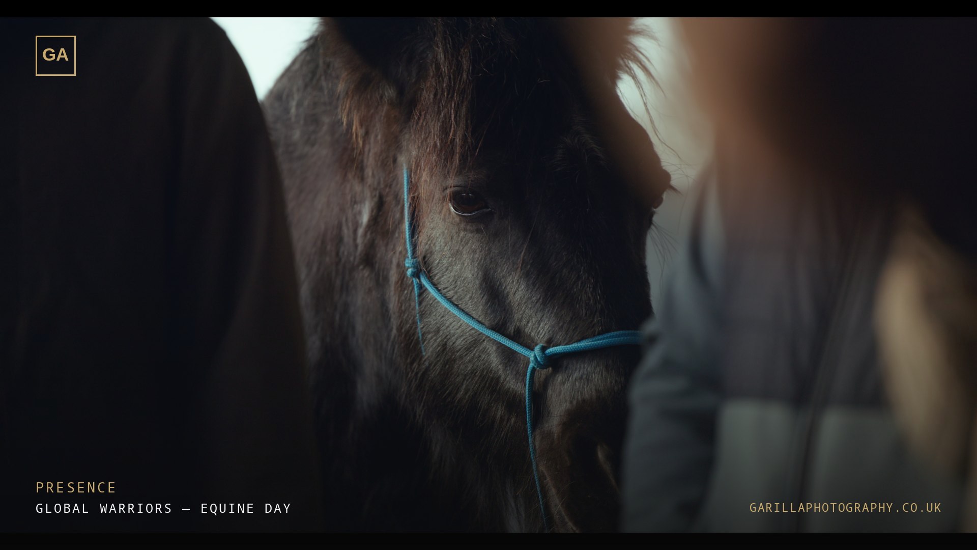 Global Warriors equine retreat film — a horse in soft light, from the hero film