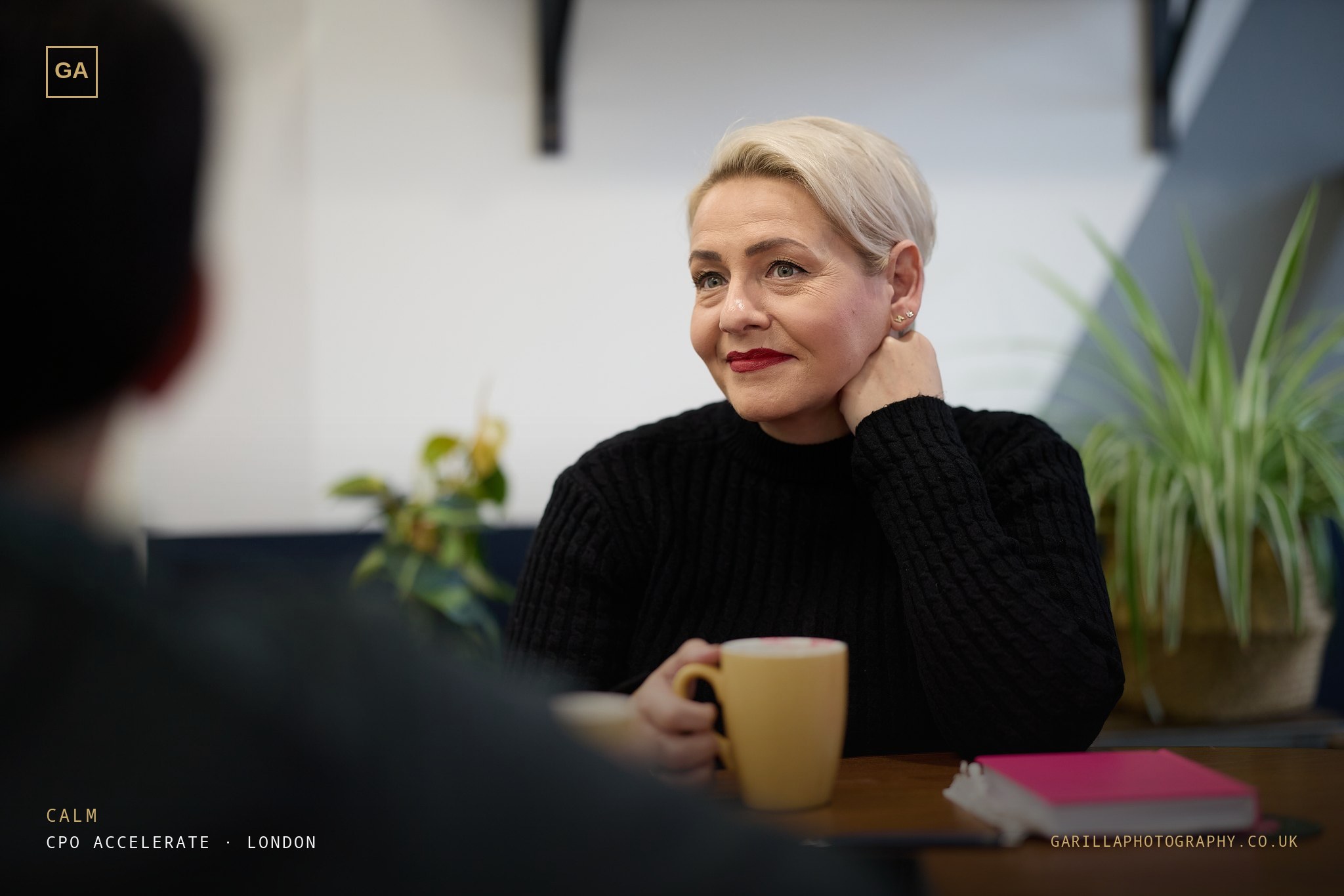 A delegate smiling warmly across the table — titled Calm