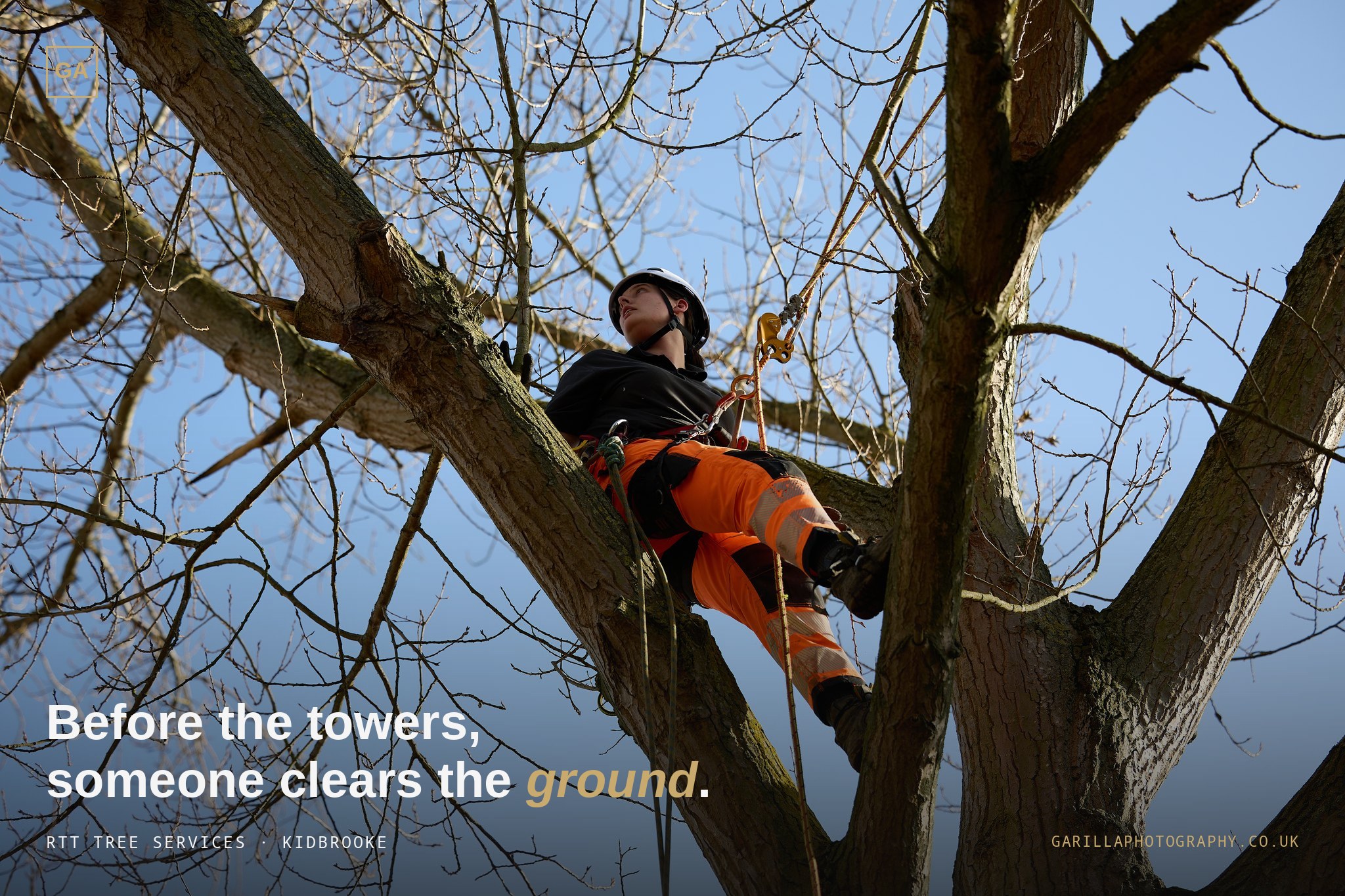 Climber high in a bare tree — RTT Tree Services