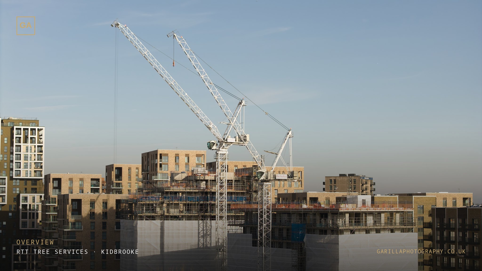 RTT Tree Services Kidbrooke film — preview frame