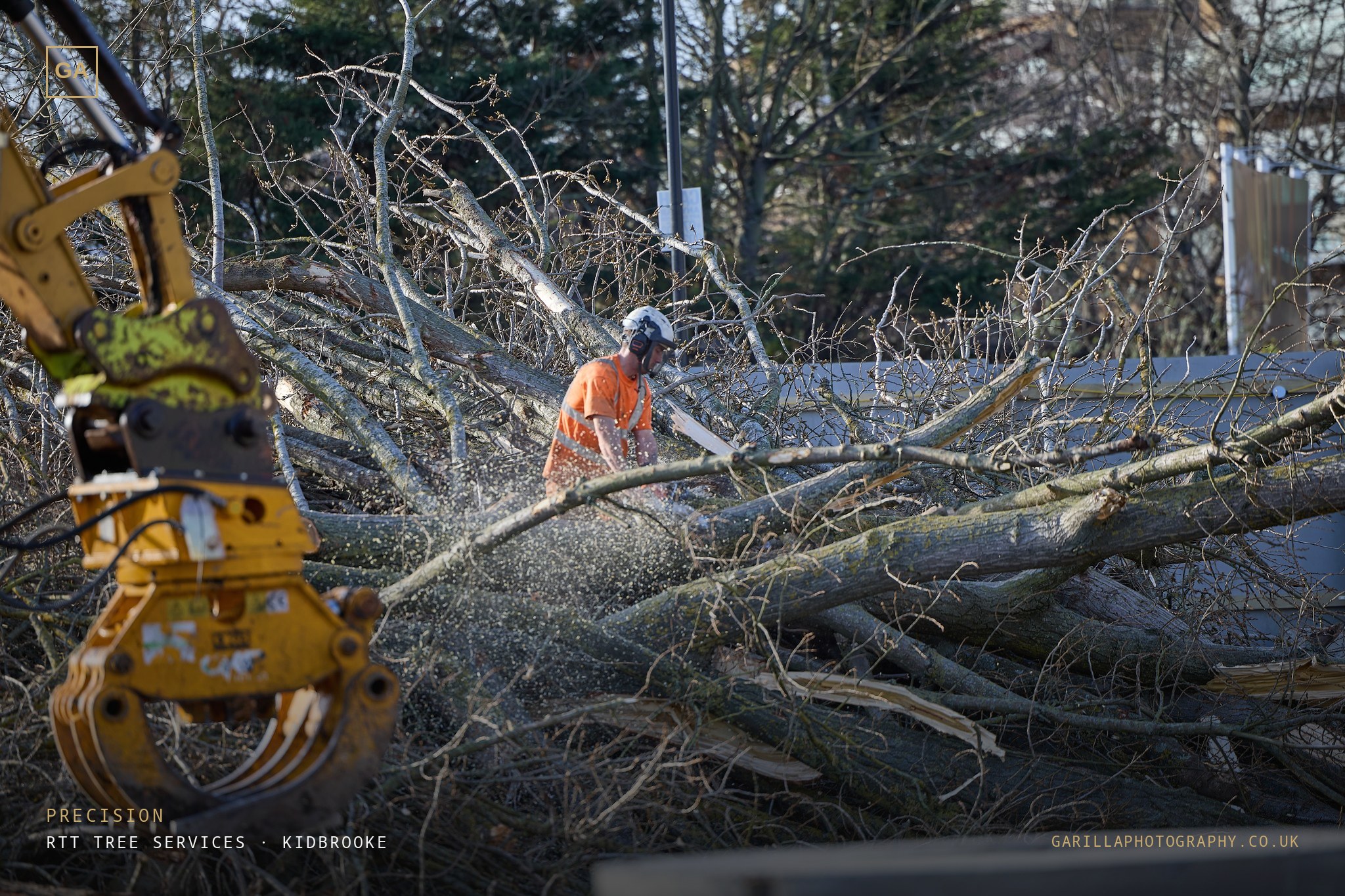 An arborist cutting through fallen timber, sawdust flying, grapple to the side — titled Precision